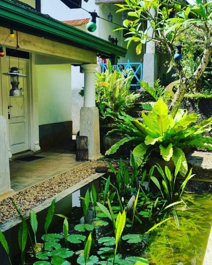 Jansen'S Bungalow Sinharaja Rainforest Retreat Kudawe Exterior foto