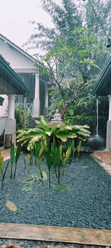 Jansen'S Bungalow Sinharaja Rainforest Retreat Kudawe Exterior foto
